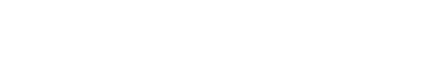 NukaVision
